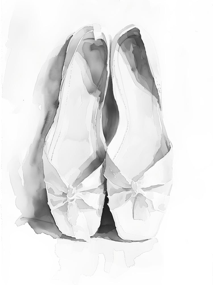 Ballet Shoes