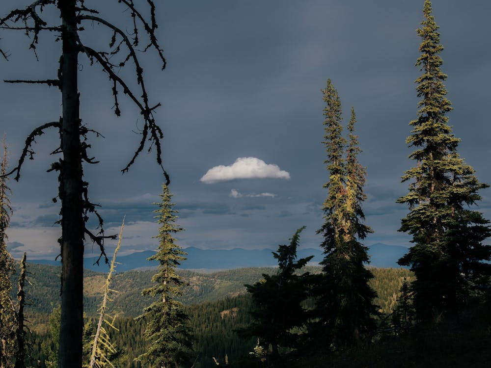 One Cloud