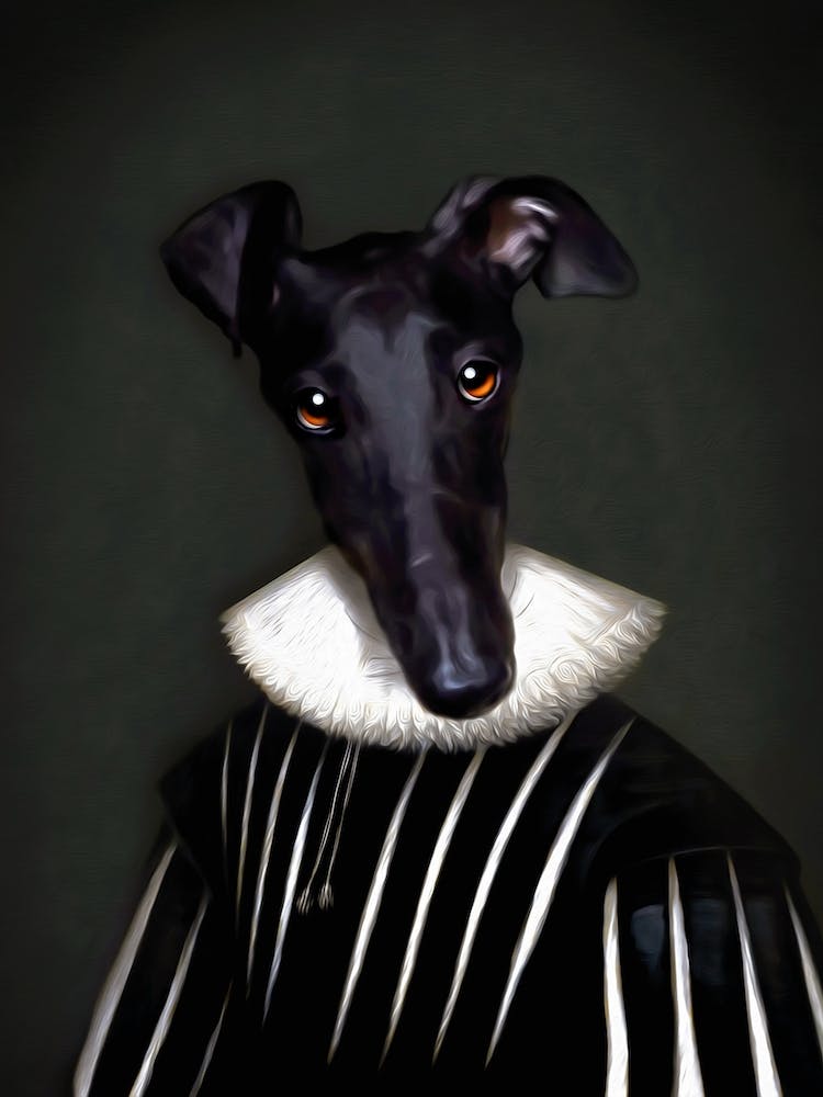 Galgo Dog Athena Pet Portraits