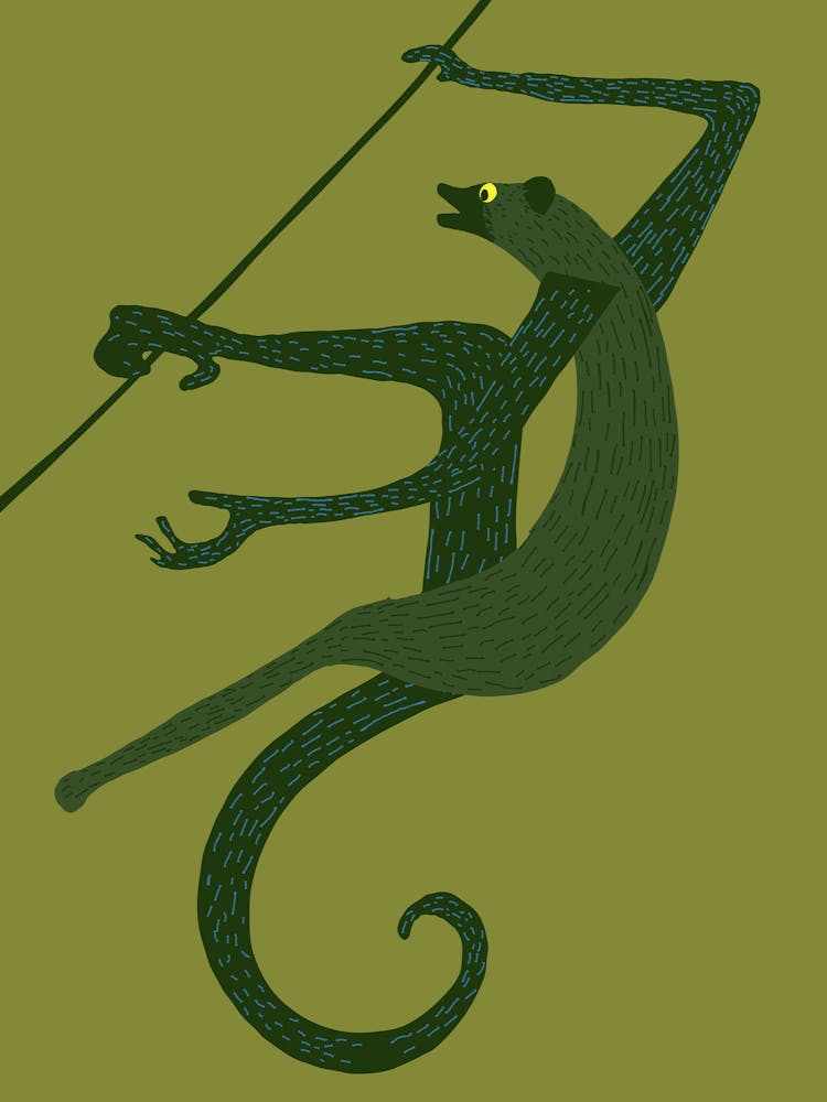 Retro Monkey On A Rope