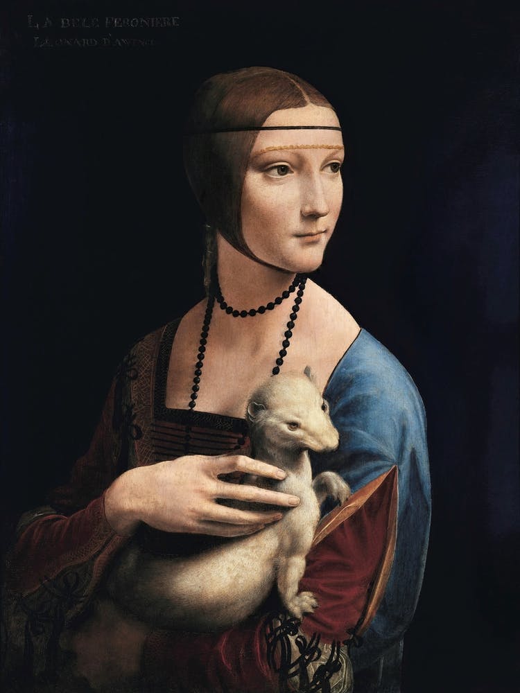Lady with Ermine by Leonardo Da Vinci (1489-1491) | vintage art print | famous art print | Italian Renaissance | figurative art | Cecilia Gallerani | vintage master | female portrait
