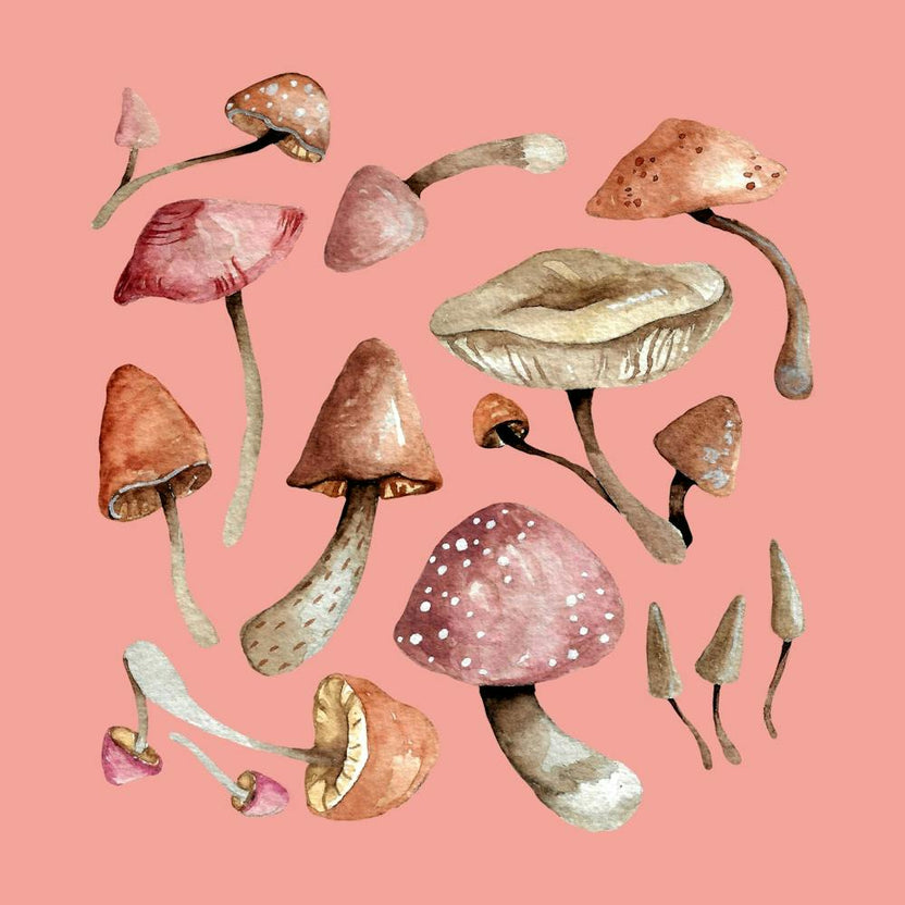 Mushrooms Soft Pink