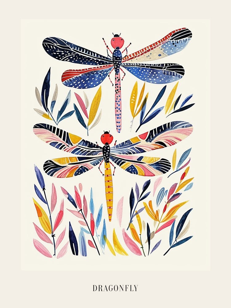 Colourful Insect Illustration Dragonfly 5 Poster