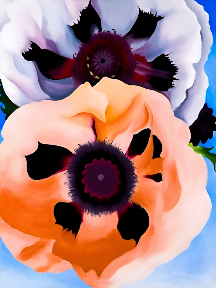 Georgia OKeeffe - Poppies 1950 1