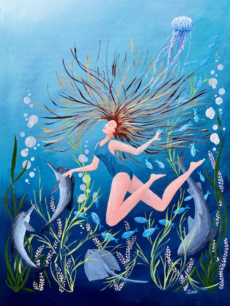 Swimming with Dolphins: Dolphin Dreaming