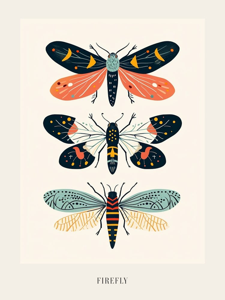 Colourful Insect Illustration Firefly 4 Poster