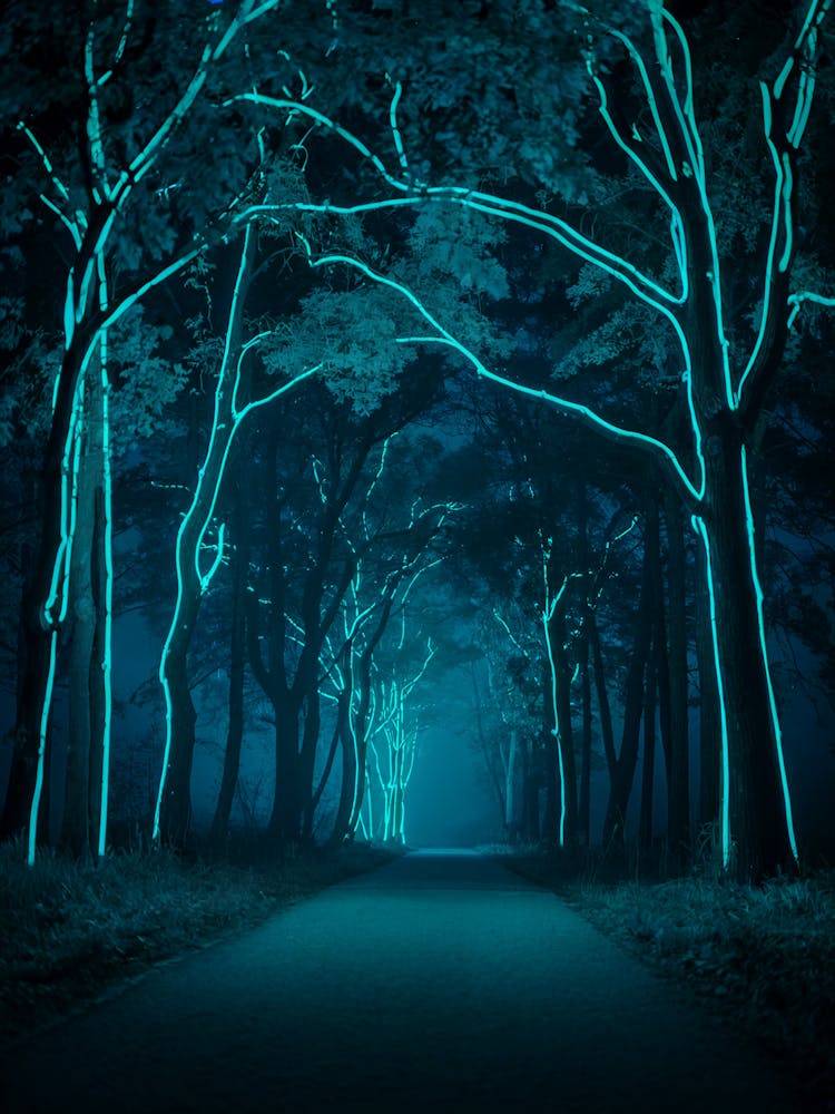 Night In The Forest, Neon