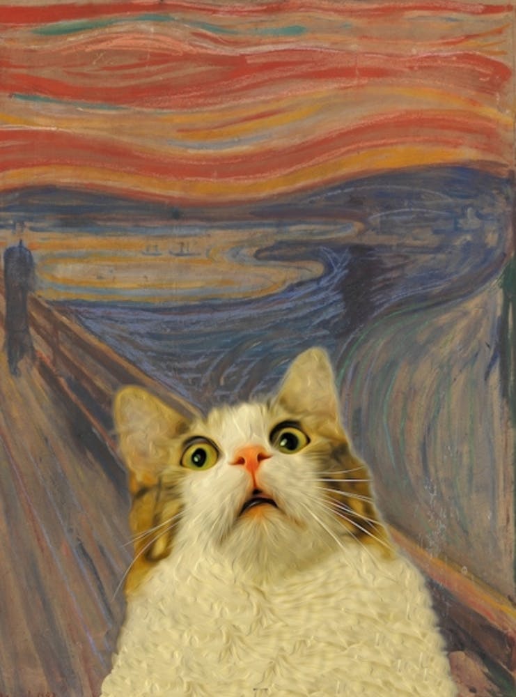 Meow Scream
