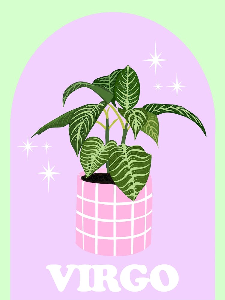 Botanical Star Sign Virgo