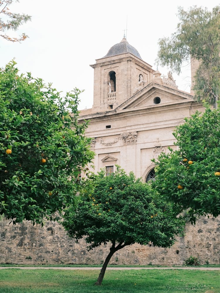 Orange Trees In Front Of A Church // Valencia, Spain, Travel Photography