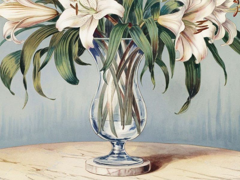 White Lilies In A Vase
