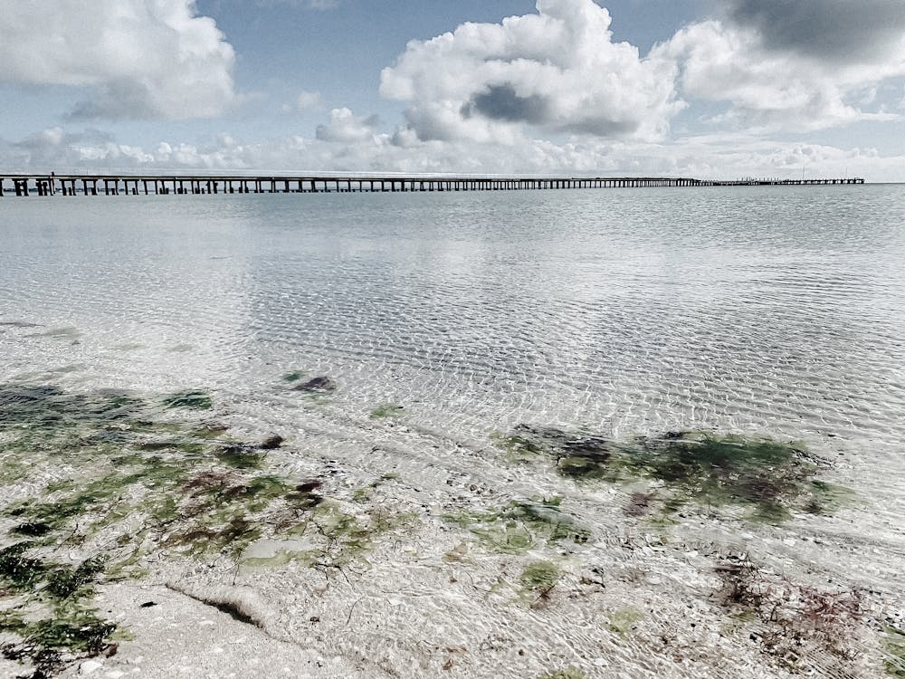Coastal Pier