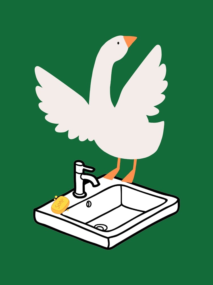 Silly Goose on Sink Green