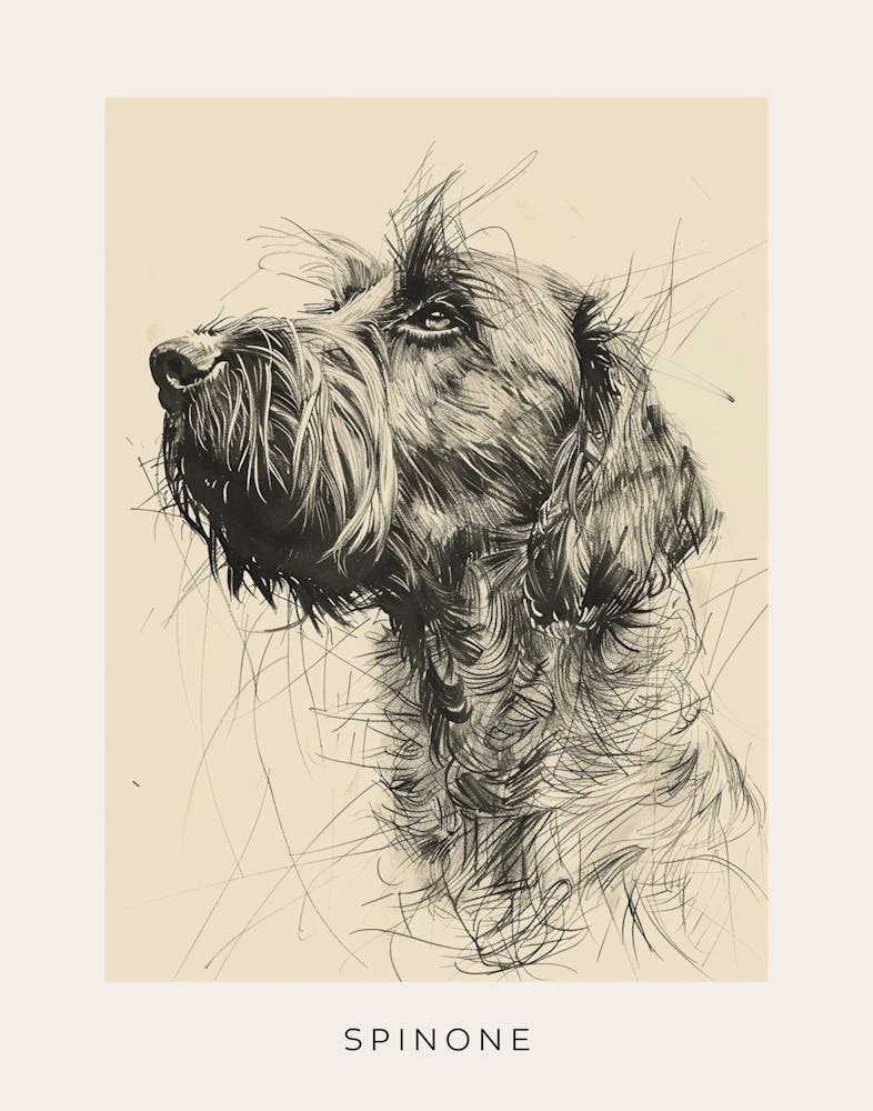 Spinone Chien Esquisse au Trait 1 Affiche