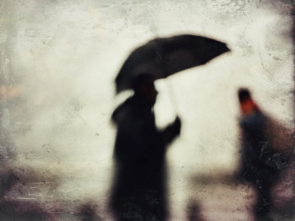 Rainy Dreams