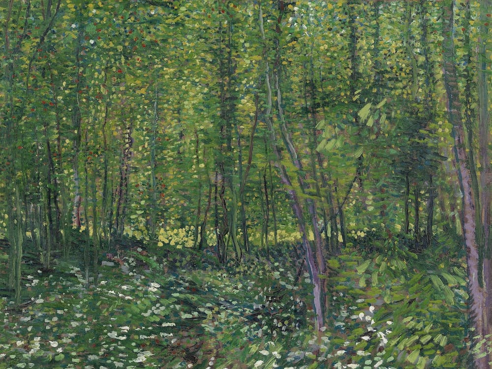 Trees And Undergrowth, 1887 By Vincent Van Gogh