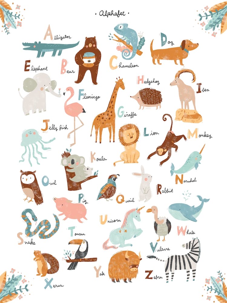 Abc Animals
