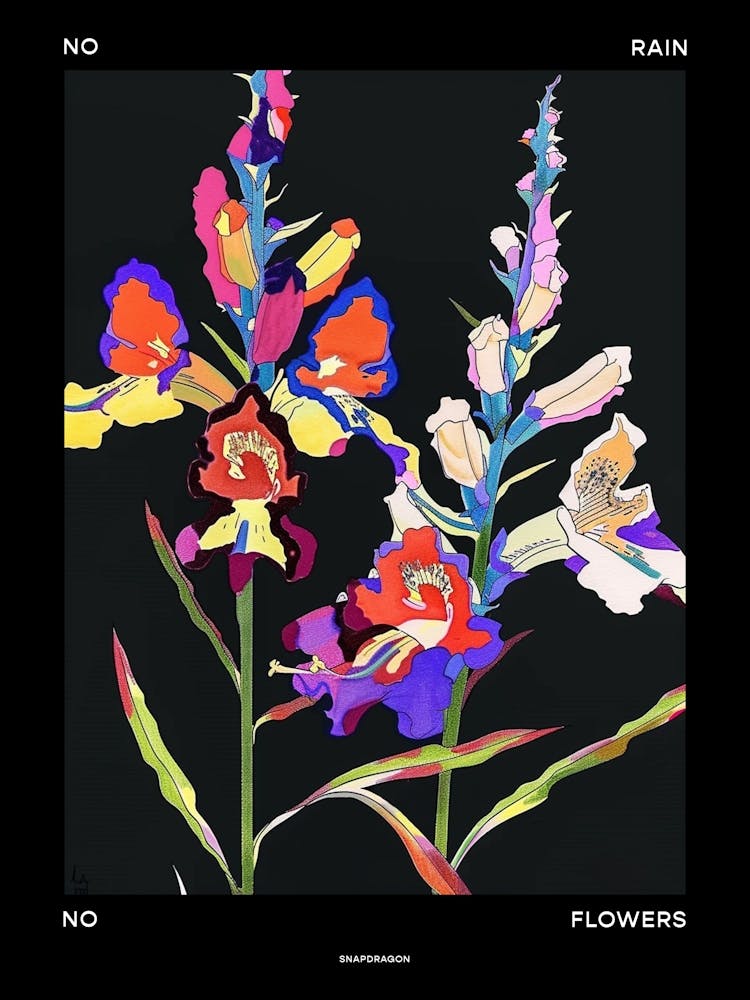 No Rain No Flowers Poster Snapdragon 3