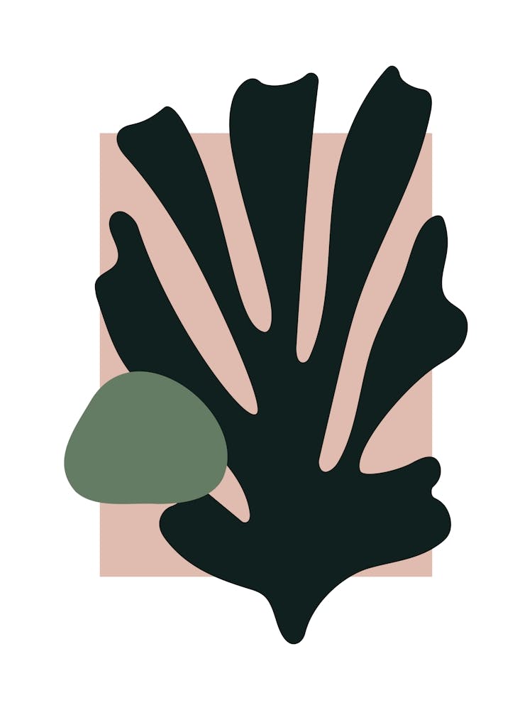 Organic Shape Cut Outs Matisse