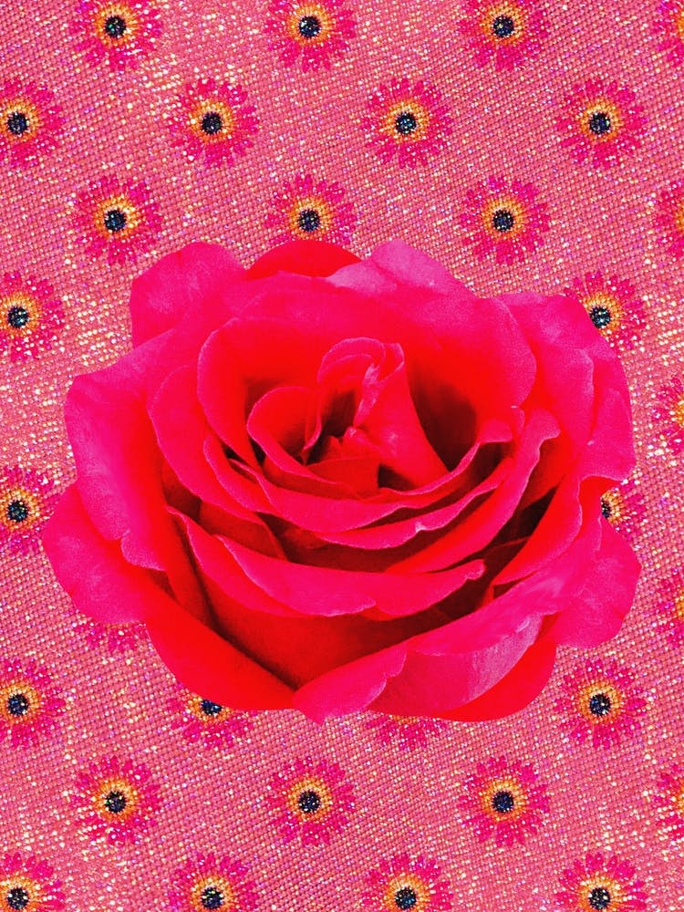 Glitter Sparkle Rose Pattern