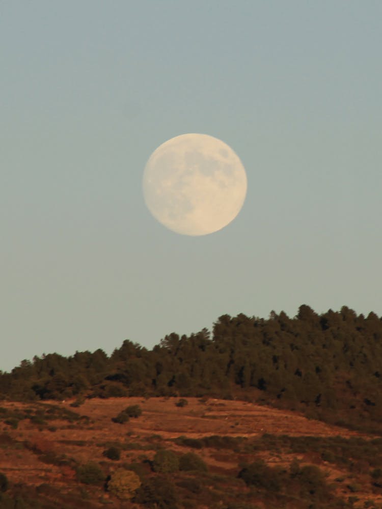 Full Moon Rising Over A Hill