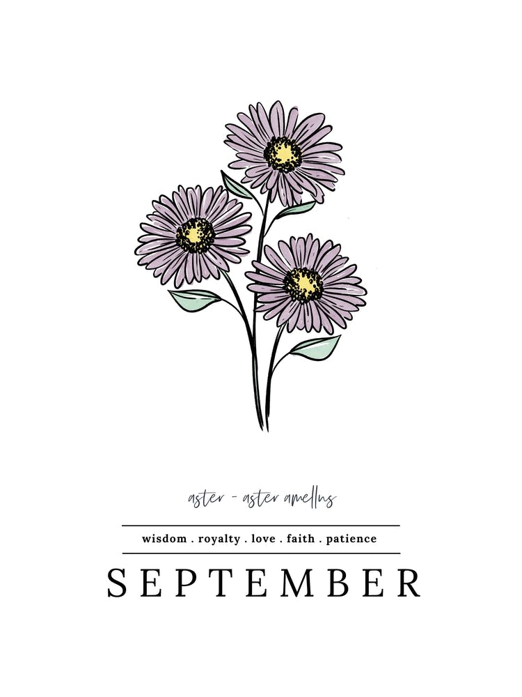 September Aster Birth Flower 1