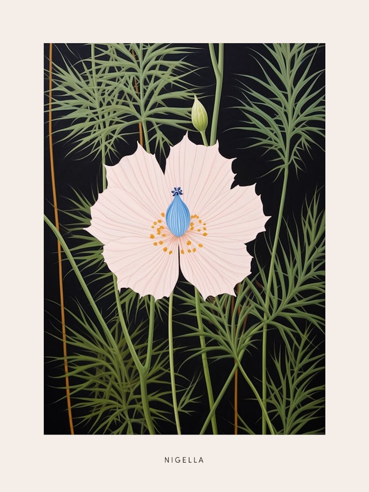 Flower Illustration Love In A Mist Nigella 4 Poster