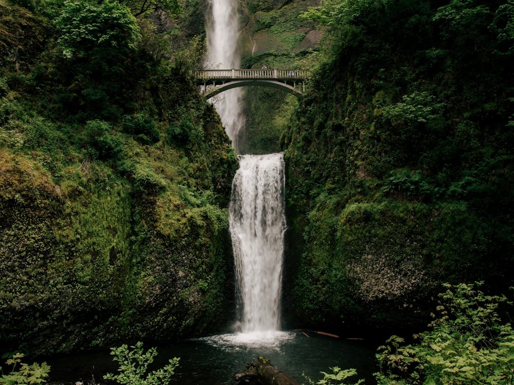 Multnomah Falls III