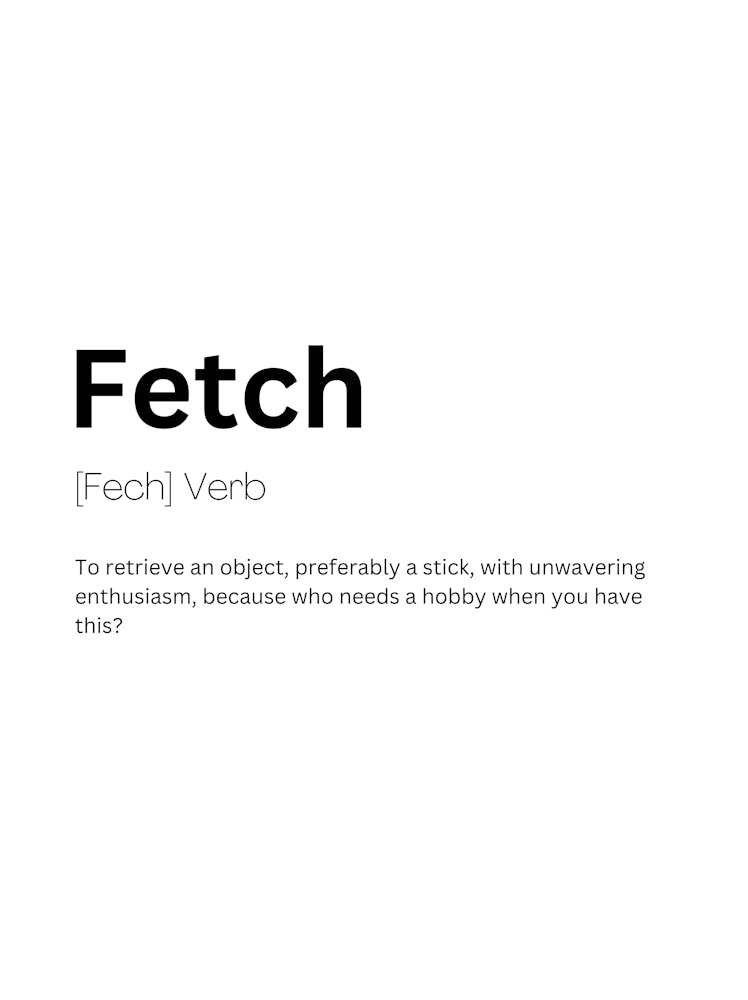 Fetch Definition Meaning