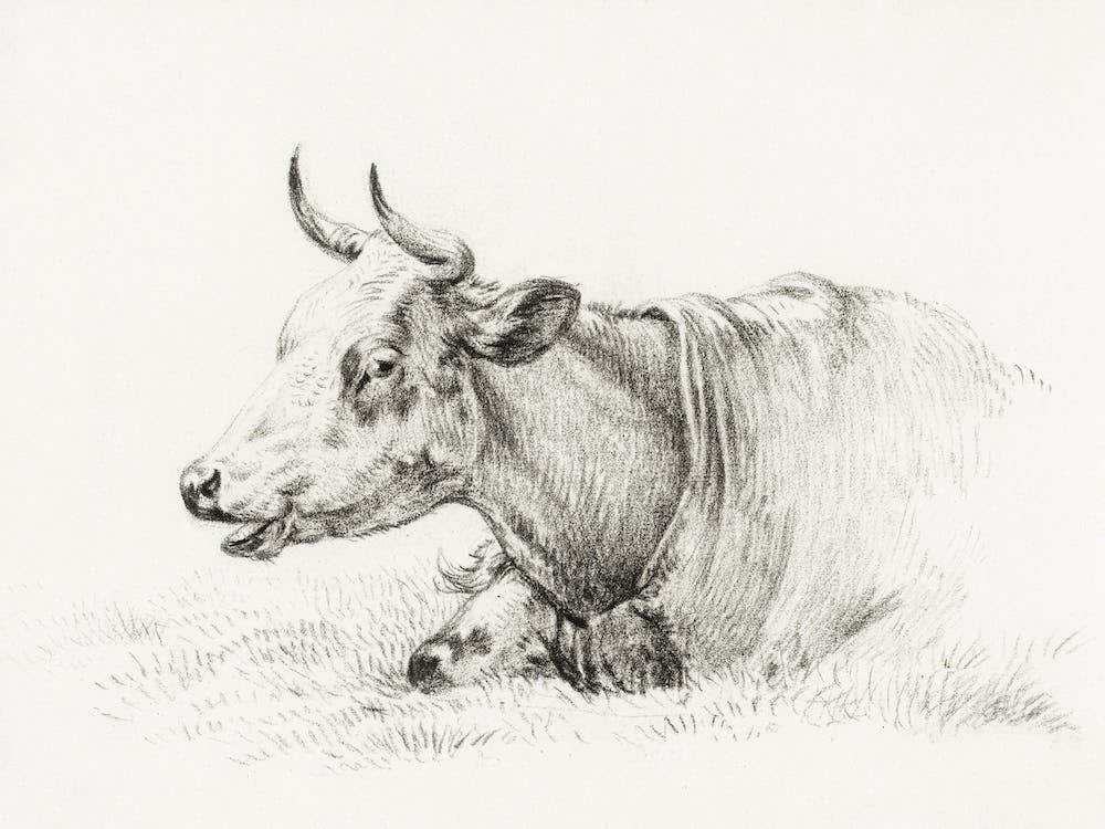 Lying Cow (1825), Jean Bernard