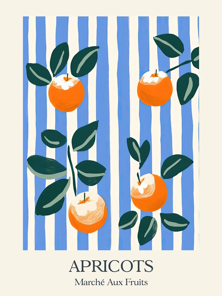 Marche Aux Fruits Affiche Abricots Fruit d'été Illustration 5