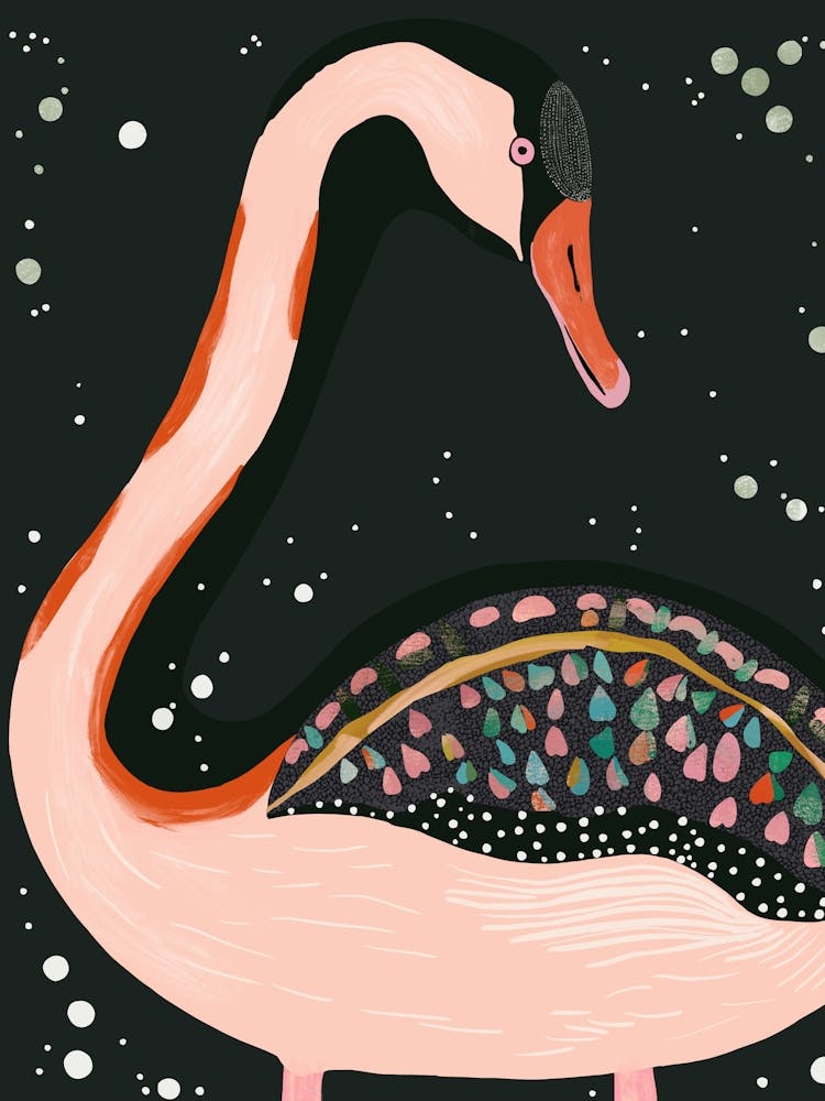 Night Swan