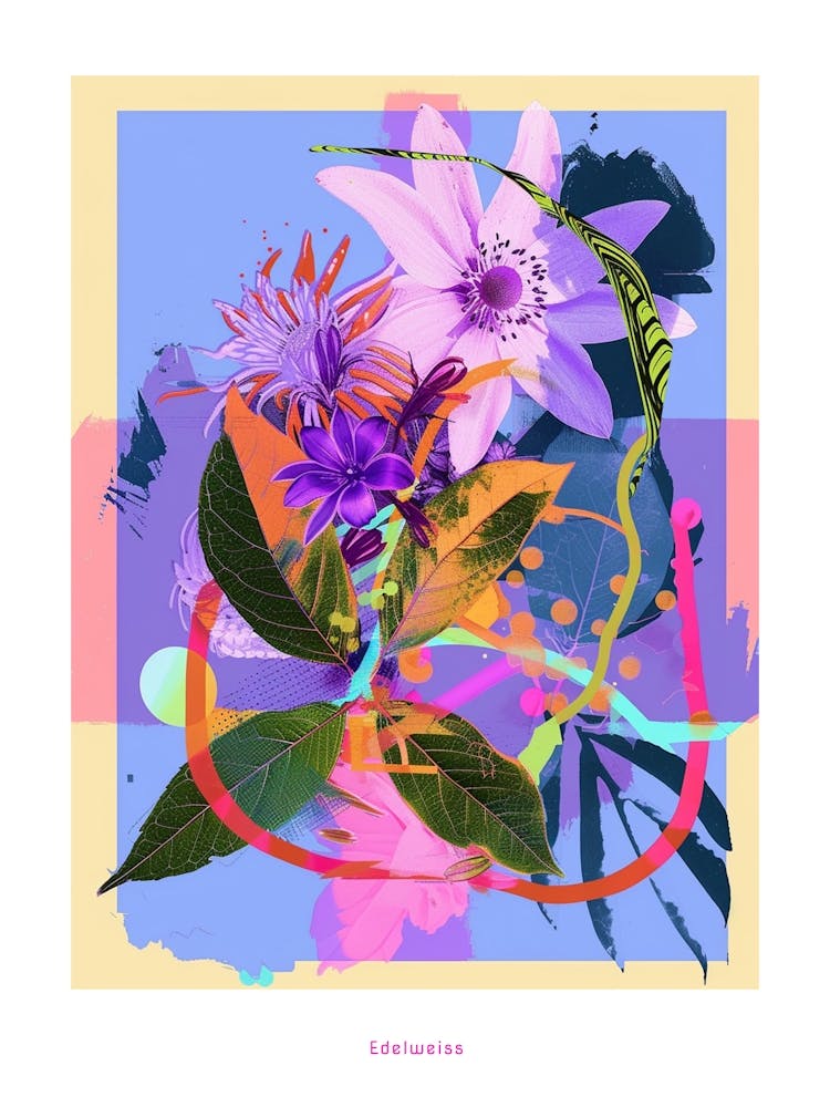 Edelweiss 1 Affiche Collage de Fleurs Néon