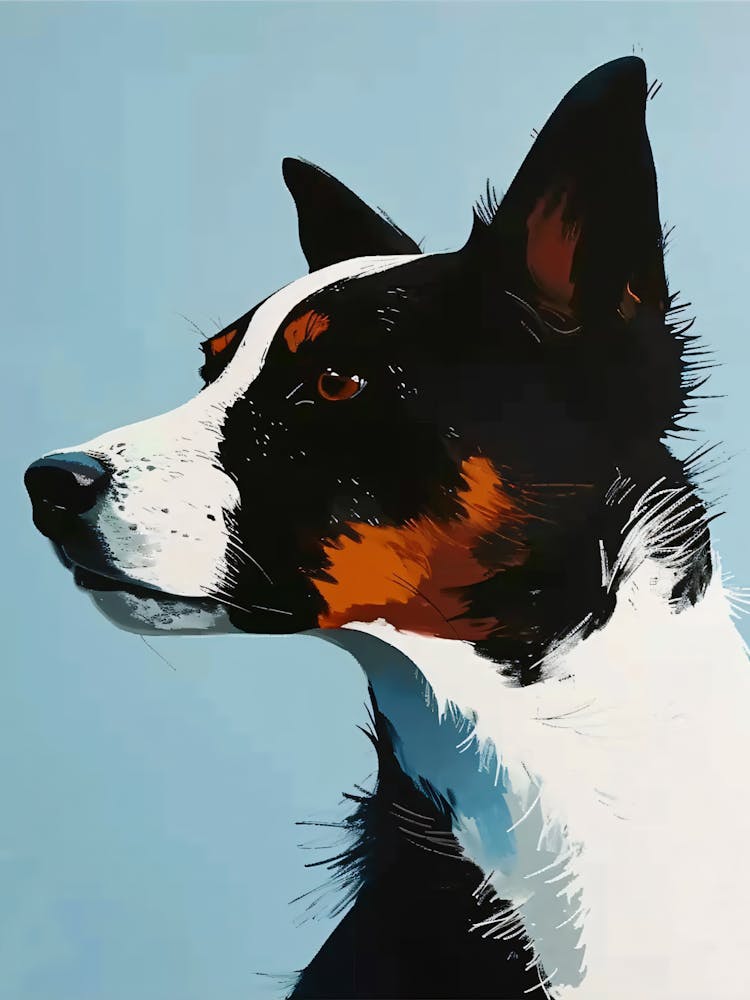 Australian Cattle Dog