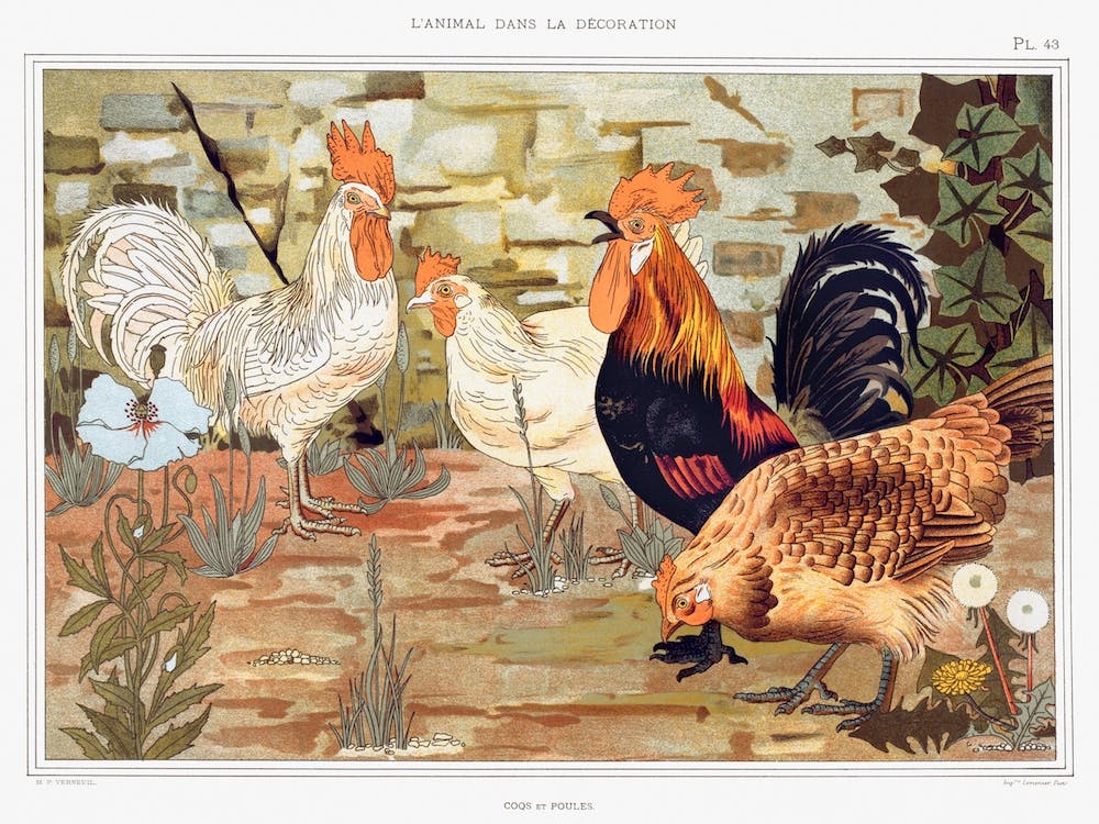Vintage Chickens