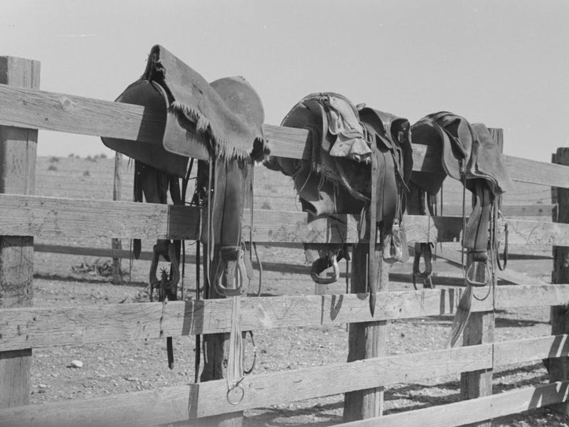 Cowboys Saddles On The Corral Fence, Roundup Near Marfa, Texas By Russell Lee