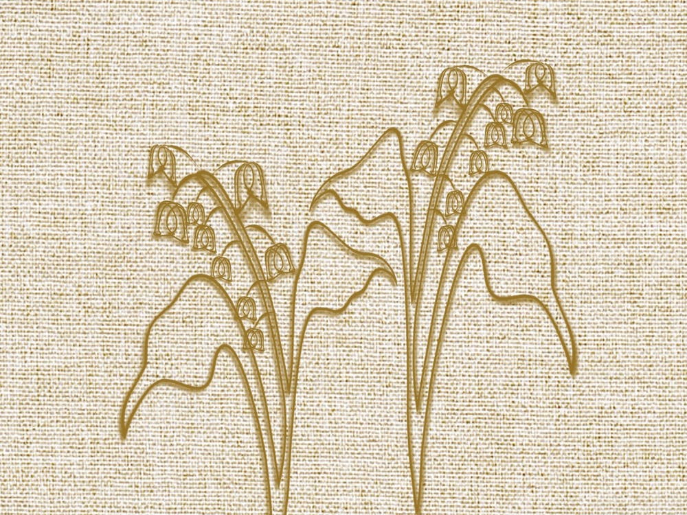 Linen Lily of the Valley