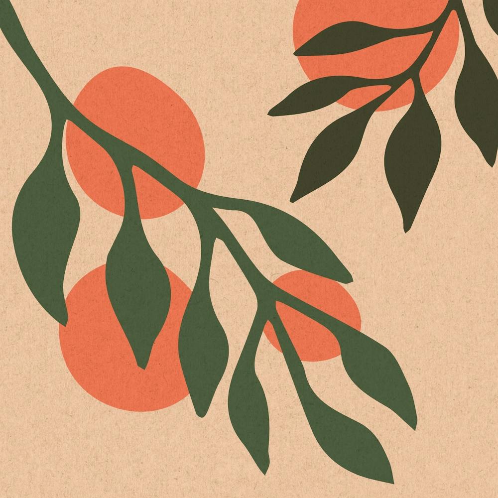 Oranges Kitchen