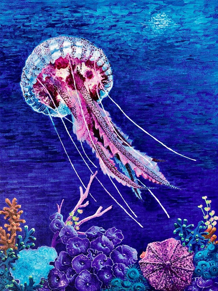 Pink Jellyfish