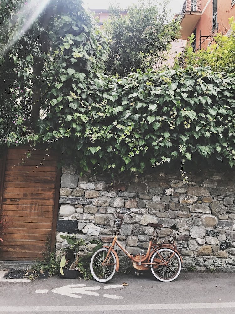 Italian Bike