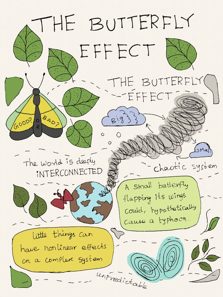 Butterfly Effect Science Aesthetics Hand Drawn Illustration
