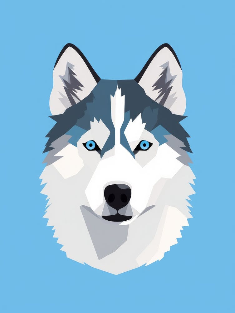 Chien Husky 1