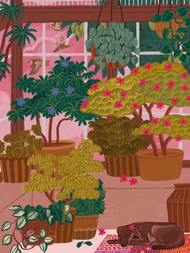 Urban Jungle