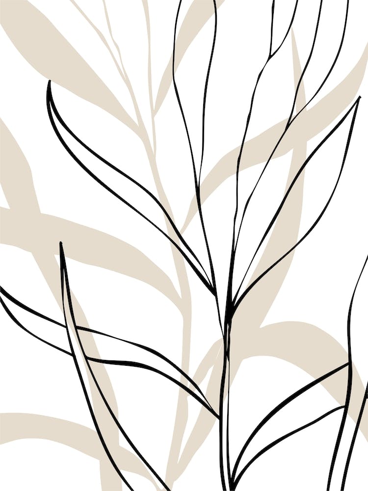 Botanical Lines Poster