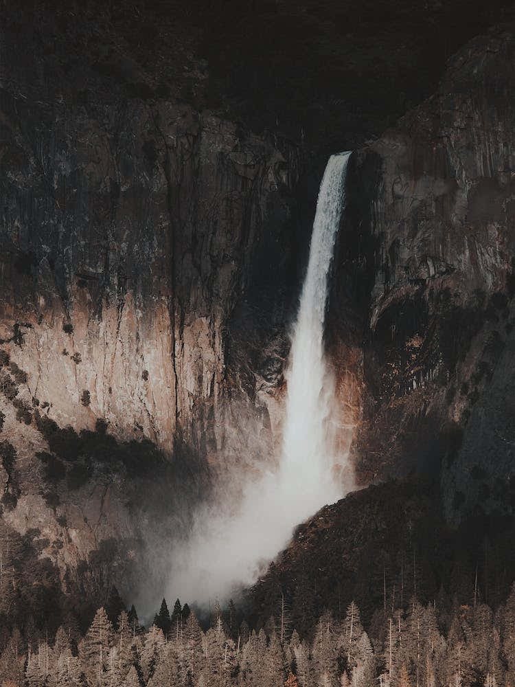 Rustic Forest Waterfall