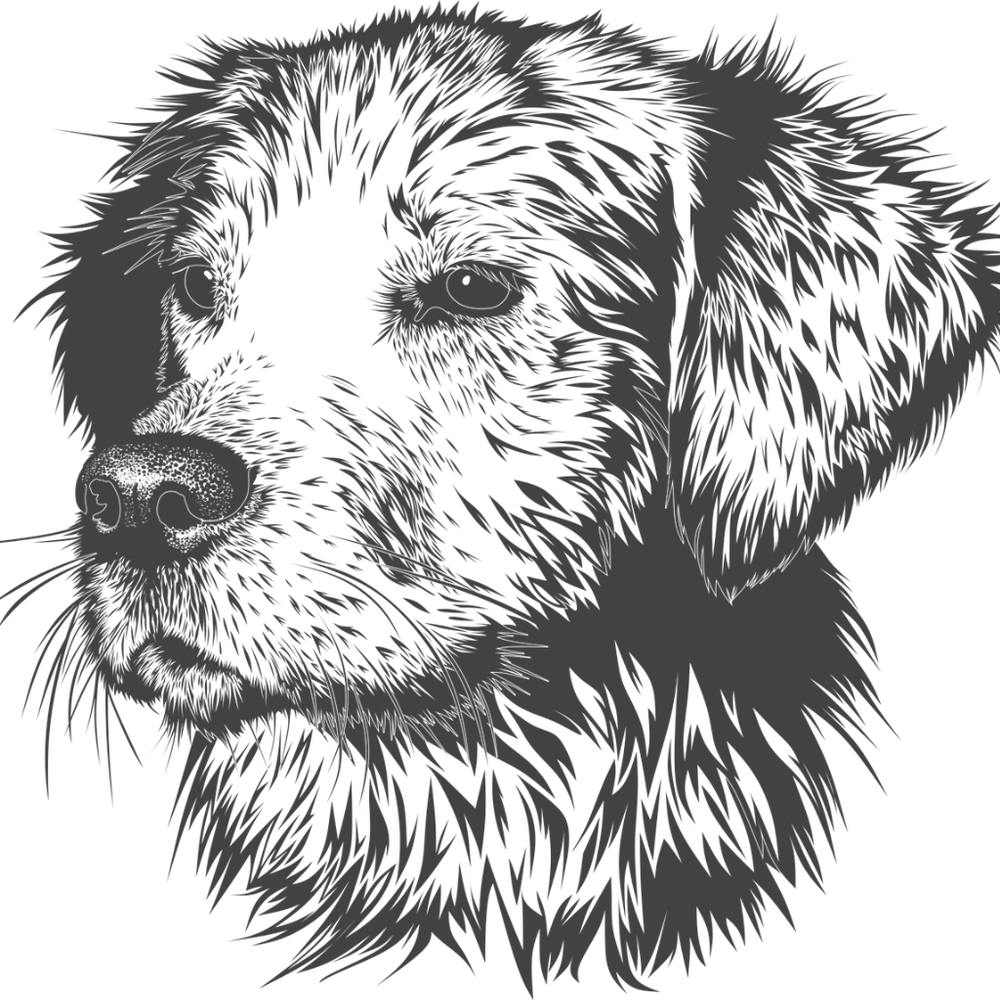 dog drawing art