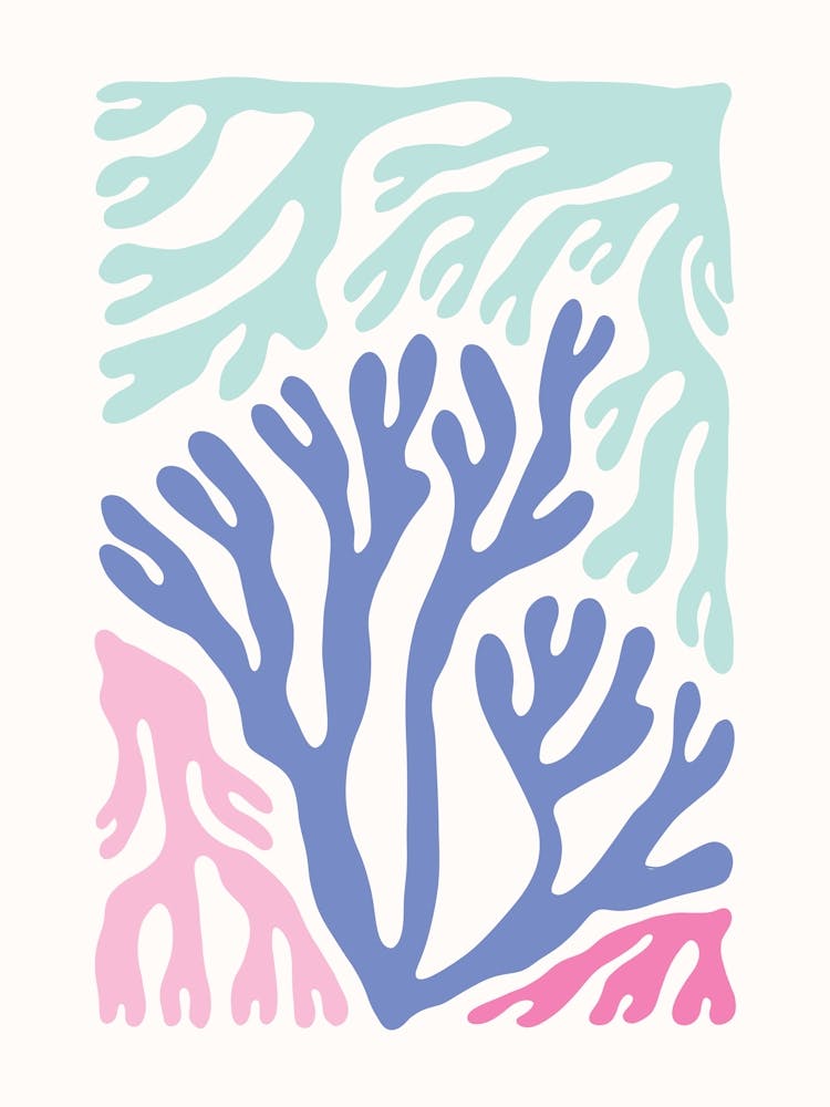 Coastal Coral 1