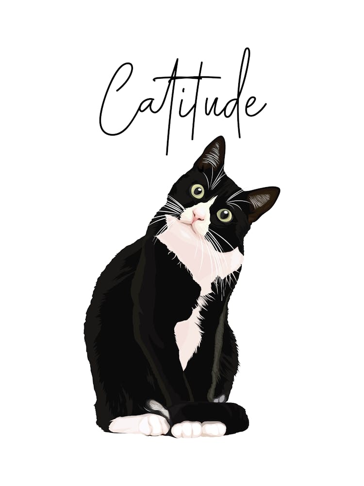 Catitude Cat