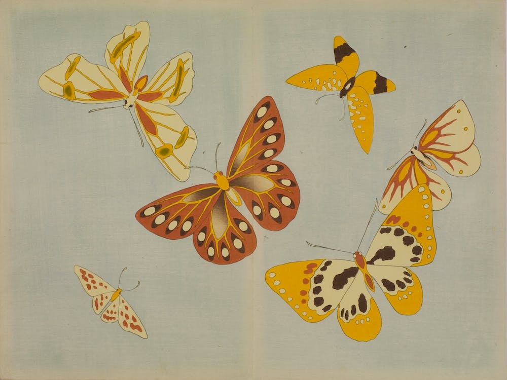 A Thousand Kinds Of Butterflies, Kamisaka Sekka
