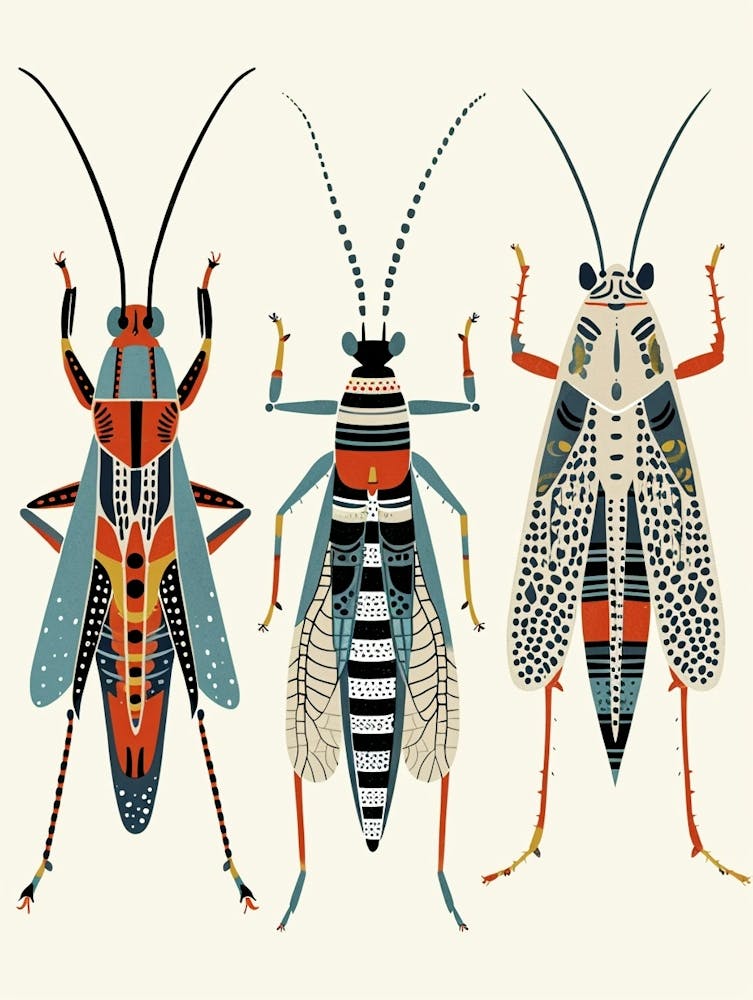 Colourful Insect Illustration Cricket 11
